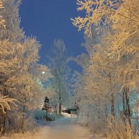 Зимние сумерки :: Ольга 