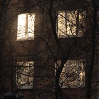 Контраст :: Михаил К