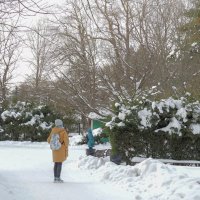 В Зимнем Парке :: юрий поляков