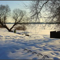 *** :: Aleksandr Gal