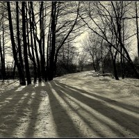 *** :: Aleksandr Gal