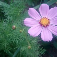 ,,, :: Сергей Тимоновский