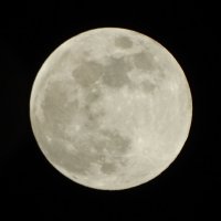 Луна :: Глеб 