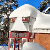 чудо завоевало магазин :: Владимир 