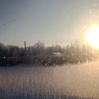 Морозный день :: Юлия Денискина