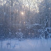 Пейзаж морозного дня :: Юлия Денискина