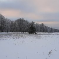 *** :: Наталья Герасимова