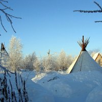 Горнокнязевск. Ямал :: Tata Wolf