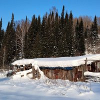 Прекрасный день!!! :: Радмир Арсеньев