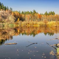Отражение золотой осени :: Игорь Сарапулов