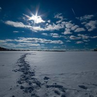 *** :: Андрей Андрианов