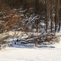 У проруби :: Александр 