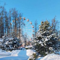 Февраль :: Галина Бобкина