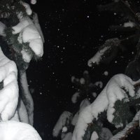 без названия :: fogmeadowww m