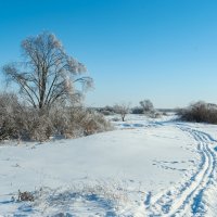 ... :: василий 