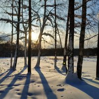 Зима продолжается :: Андрей Лукьянов
