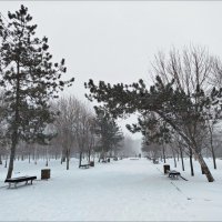 Выпал снежок! :: Надежда 