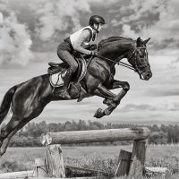 Кросс :: SanSan 