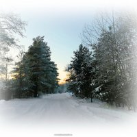 Холодает к вечеру! :: Игорь Корф