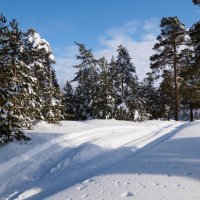 Санный след. :: Николай 