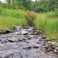 Ручей. :: ВикТор Быстров