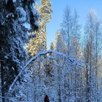 До весны все дремлет тут! :: Ольга 