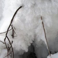 Не будить до весны... :: Galaelina ***