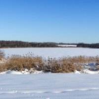 Про Смоленске озёра. :: Милешкин Владимир Алексеевич Про Смоленске озёра. :: Милешкин Владимир Алексеевич