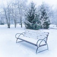 Зимняя картинка :: Ravile 