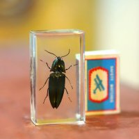 Z :: Андрей Л. В.