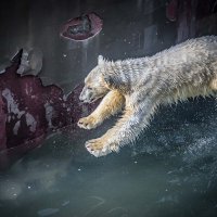 бм :: Аркадий бм :: Аркадий