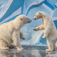 бм :: Аркадий бм :: Аркадий