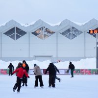 Настоящая русская зима. :: Наталья Вязигина