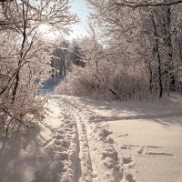Свет февраля :: Андрей Заломленков