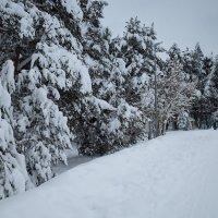 Зимний парк :: Александр Синдерёв
