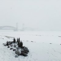 ТУМАН :: Виктор Никитенко