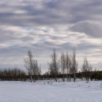 Ничто так не бодрит, как прогулка с фотоаппаратом на лыжах :: Игорь Сикорский