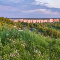 21 июня, самый длинный день в году, разгар белых ночей, вид на Ухту :: Николай Зиновьев