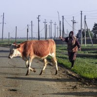 Каникулы в деревне :: Надежда 