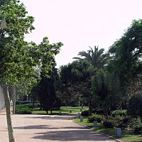 Барселона. :: Владимир Драгунский