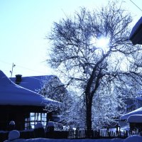 мороз и солнце..... :: Сергей 