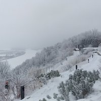 Вертолётка зимой :: Инна Драбкина