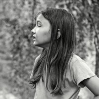 Из лесу вышла... :: СЮ 