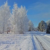 Красивый зимний день .. :: Татьян@ Ивановна