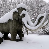 Снежок порхает, кружится, На улице бело. И превратились лужицы В прозрачное стекло... :: "The Natural World" Александер