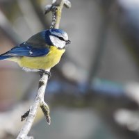 ЛАЗОРЕВКА. :: DianaVladimirovna