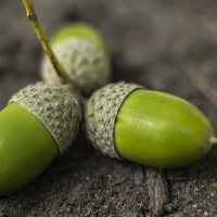 Макро :: Андрей C