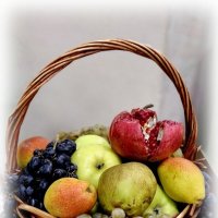 Дары природы :: Елена Сухорученкова