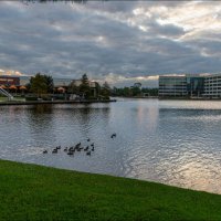 Озеро Lake Woodlands :: **** vedin