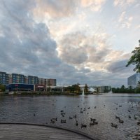 Озеро Lake Woodlands :: **** vedin